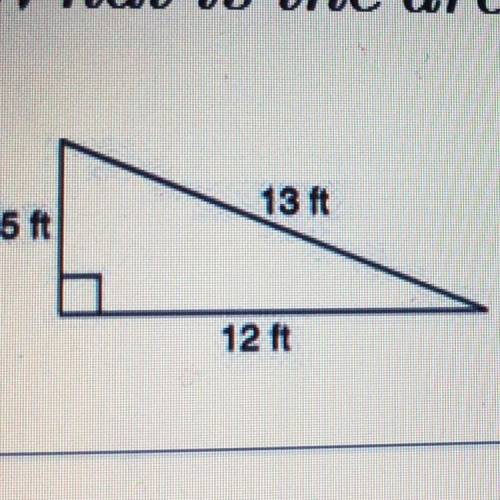 What is the area of the triangle in ft?