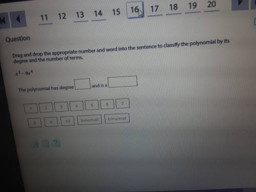 Drag and drop the appropriate number and word into the sentence to classify the polynomial by its d