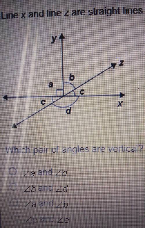 Line x and line z are straight lines.Which pair of angles are vertical?A. Angle a and Angle dB. Ang