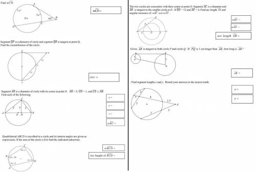 Please help. I will need the answers by today. Will mark brainliest. Thank you!