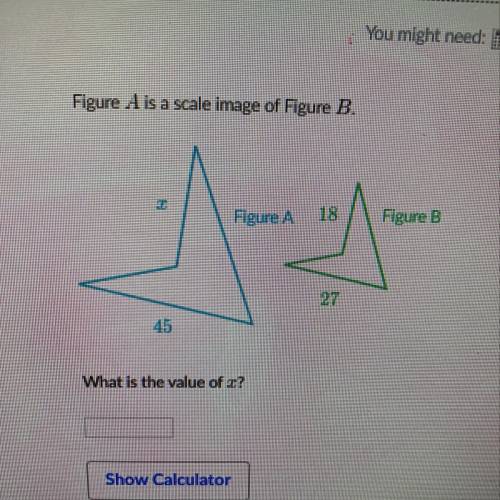 What is the value of x? ASAP