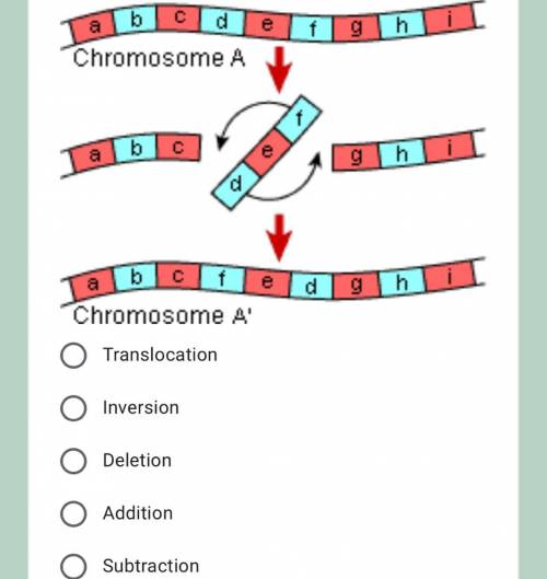 What type of mutation is taking place in this diagram? Answer options in the photo