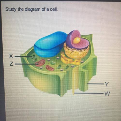 Study the diagram of a cell. Which structure is found only in plant cells and functions in the proc