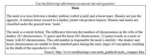 Which of the following statements best describes the relationship among horses, donkeys, and mules?