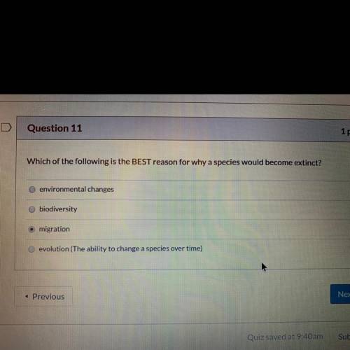 Please help me with answer