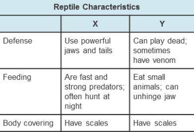 The chart shows characteristics of two groups of reptiles.  Which headings correctly complete the c