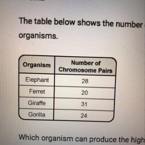 The table below shows the number of chromosomes pairs for various organisms

Which organism can pr