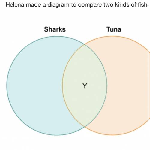 Helena made a diagram to compare two kinds of fish. Which label belongs in the area marked Y?

Lun