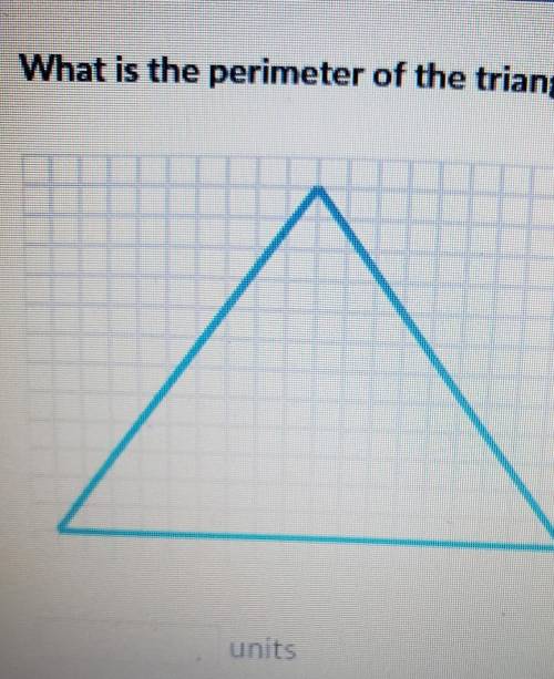 What is the perimeter of the triangle?. I need help with this pretty please