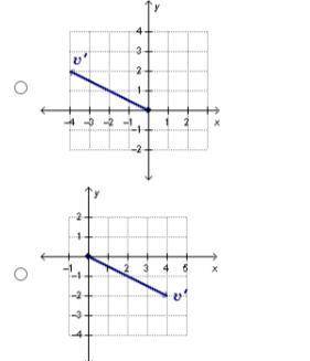 The diagram below shows vector v.