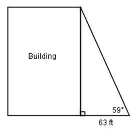 The students in Mr.Collins class used a surveyor's measuring device to find the angle from their lo