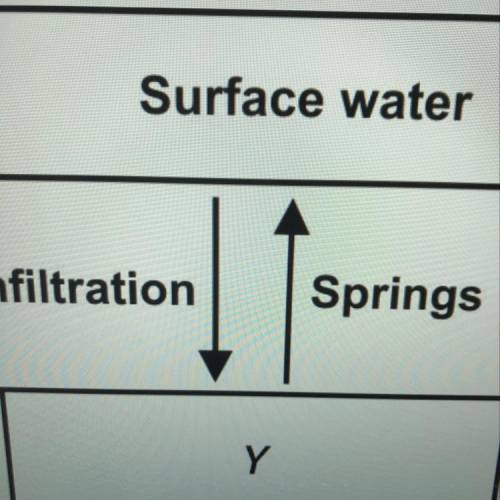 What does y most likely represent?

A-Groundwater
B-Transpiration
C-Evaporation
D-Spring