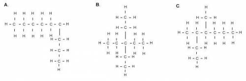 Which of the following shows the proper configuration of a straight chain isomer of nonane? A B C