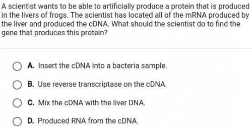 What should the scientist do to find the gene that produces the protein?