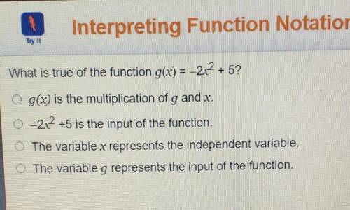 What is true of the function g (x) = -2x^2 +5