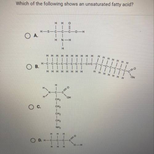 Which of the following shows an unsaturated fatty acid?

H
Н
о
•G
-сон
А.
H
NH
H
Н Н
н нннн
H
H
НА