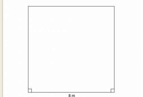 QUESTION 4 What is the area of the square in square meters and square centimeters? 64 m² and 640,00
