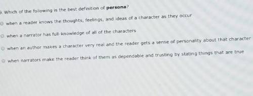 Which of the following is the best definition of persona?