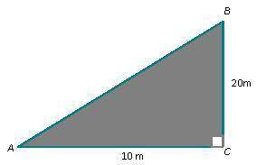 Find the area of the triangle. a. 620 sq. m c. 100 sq. m b. 200 sq. m d. 180 sq.m