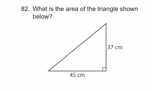 What is the area of the triangle shown on the picture?