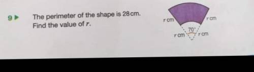 The perimeter of the shape is 28 cm.Find the value of radius.