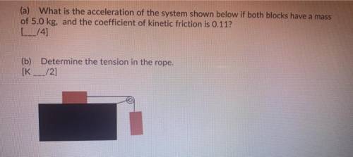 Please Help me in this Question!!