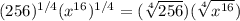 (256)^{1/4}(x^{16})^{1/4}=(\sqrt[4]{256} )(\sqrt[4]{x^{16}} )
