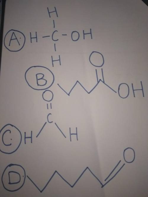 Which molecule is pentanoic acid?