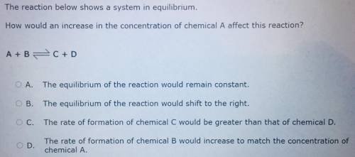 the reaction below shows a system in equilibrium how would an increase in the concentration of chem