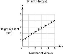 100 POINTS

The graph shows the heights, y (in centimeters), of a plant after a certain number of