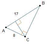 What is the length of Line segment B C?