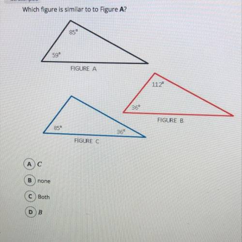 Please help me with this question i don’t understand !!!