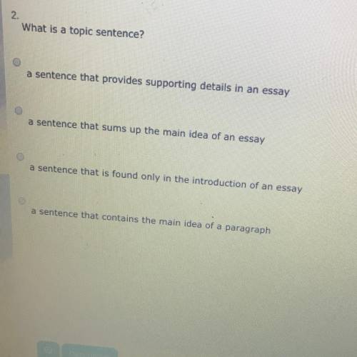 What is a topic sentence?