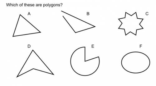 Which of these are polygons
