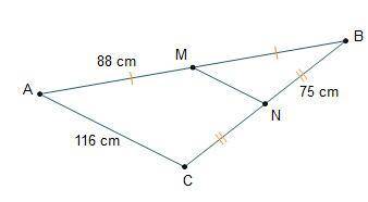 What is the length of Line segment M N?
58cm
75cm
88cm
116cm