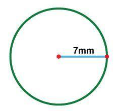 Which of the following is the best approximation of the area of the circle?

196 square millimeter