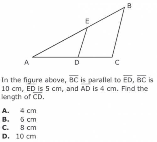 Pls help with this question thank u all