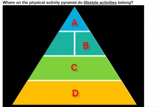 Where on the physical pyramid do lifestyle activities belong.