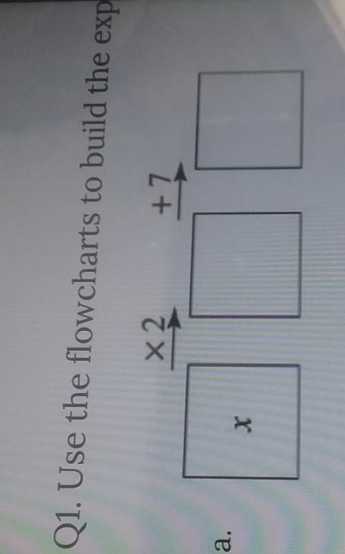 Hi everyone how to solve this question