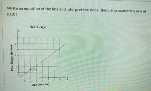 Write an equation of the line and interpret the slope.