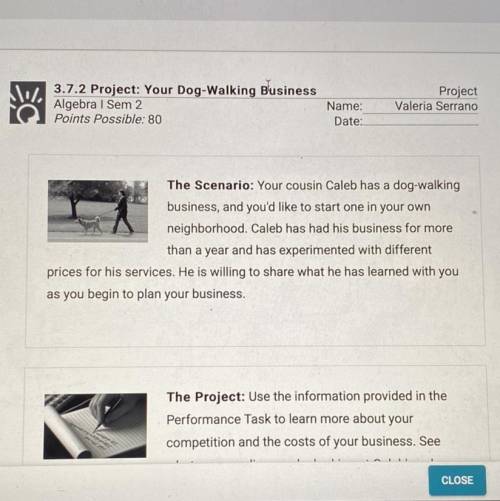 3.7.2 project: walking your dog business Algebra sem 2