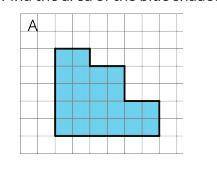 Find the area of the blue shaded shape.