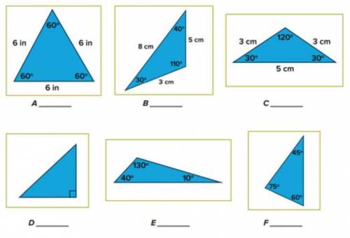 Label each of the triangles illustrated below