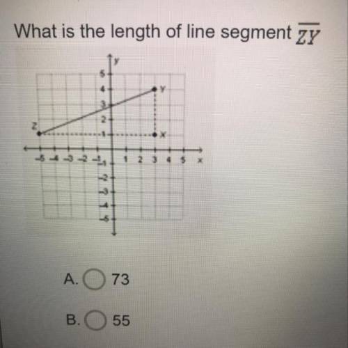 What is the length of line segment ZY