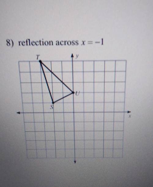 Look at image. reflection across x=-1