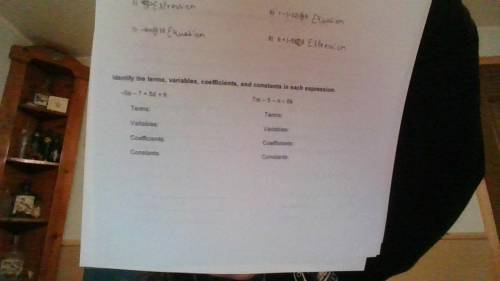 Please help me Identify the terms, variables, coefficients and constants in each expression
