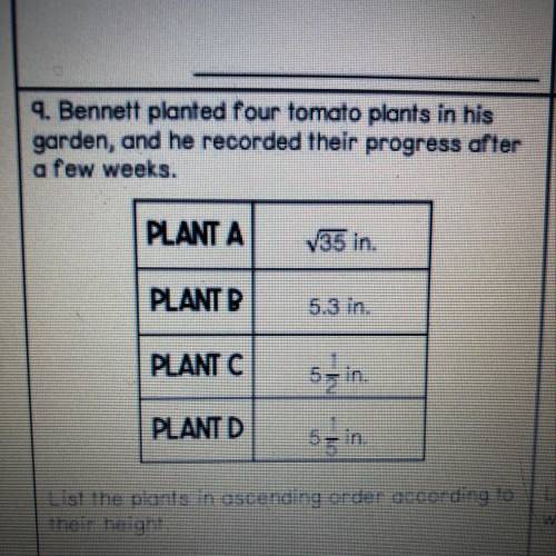 9. Bennett planted four tomato plants in his

garden, and he recorded their progress after
a few w