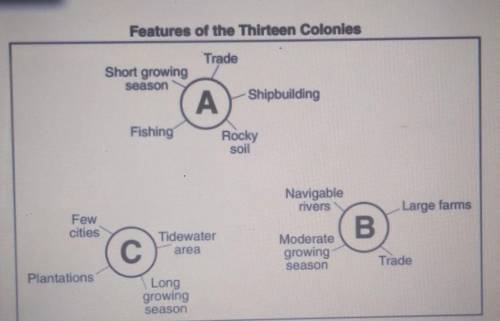 Colonial America:Question 9

Which part of the thirteen colonies is represented by cluster B? Sele