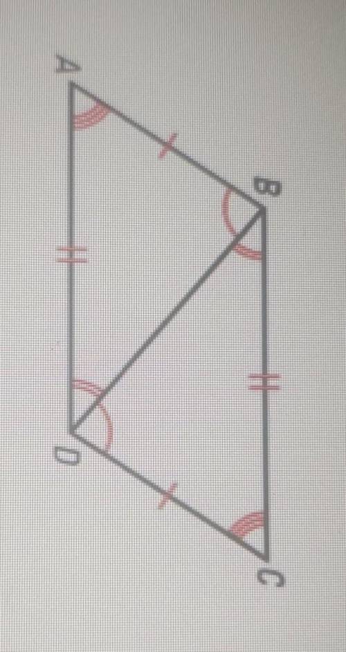 Which is not a pair of congruent angles in the diagram below?

A. Angles BDA and DBCB. Angles ABD