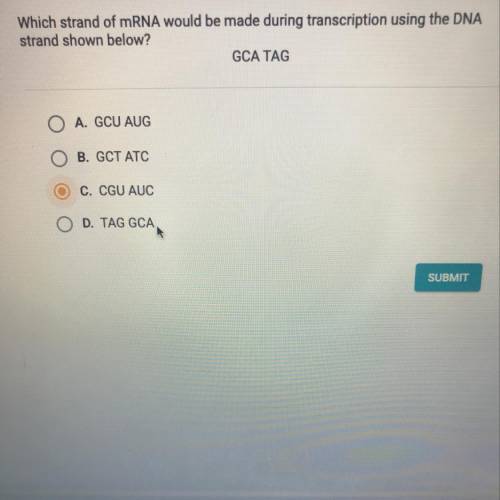 Anyone I’m not sure

Which strand of mRNA would be made during transcription using the DNA
strand